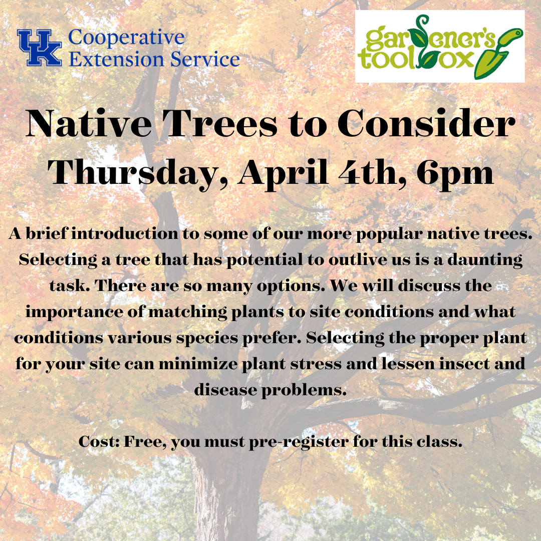 Native Trees to Consider Fayette County Extension Office